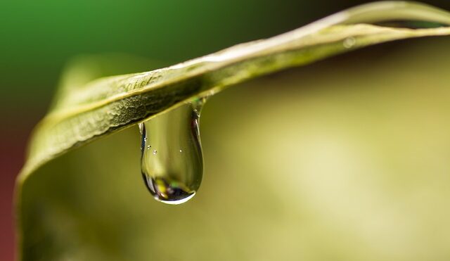 jaka twardość wody